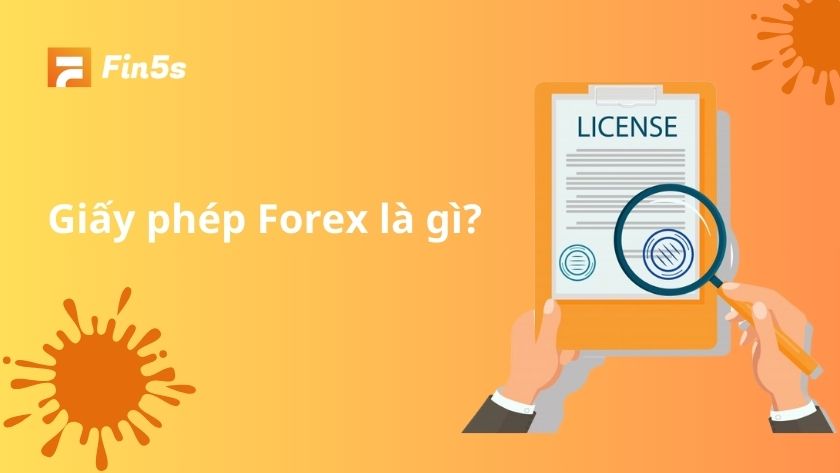 Giấy phép Forex là gì